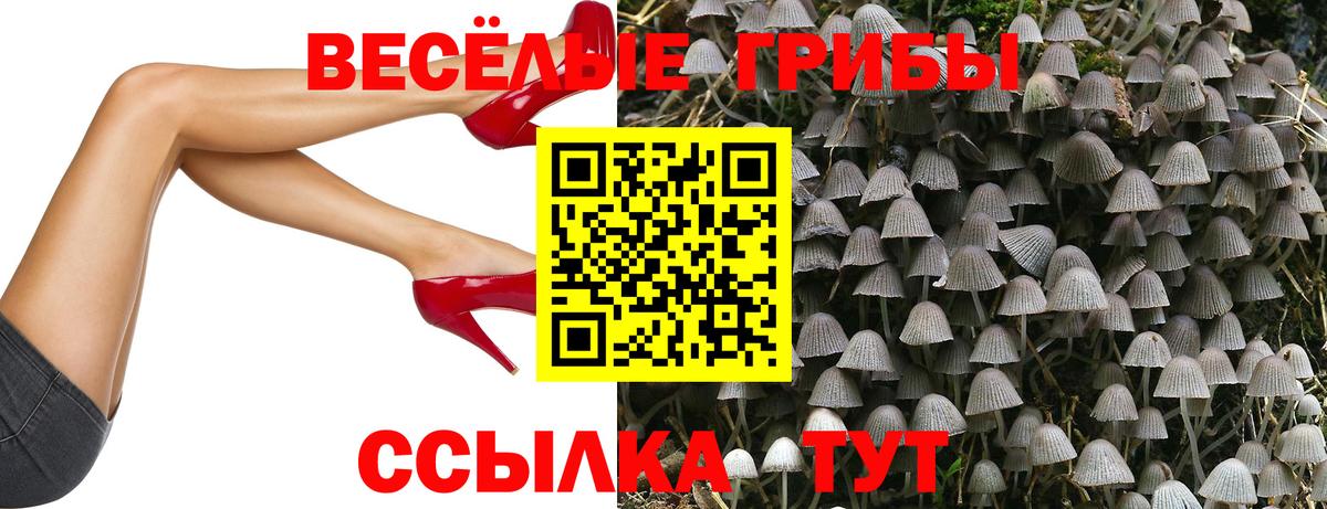 Меф  Домодедово  ГАШИШ  Меф   Cocaine  Вход с VPN  Канабис 