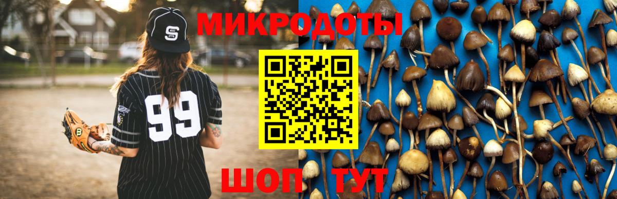Псилоцибиновые грибы ЛСД Домодедово